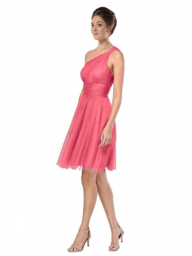 Achat Pastèque Trapèze Tulle Longue Robes demoiselle d'honneur